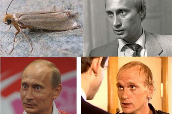 Рабочий кракен
